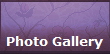 Photo Gallery